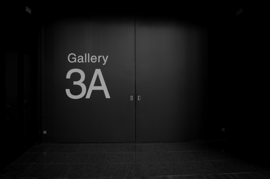 Gallery door