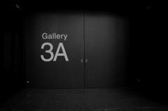 Gallery door