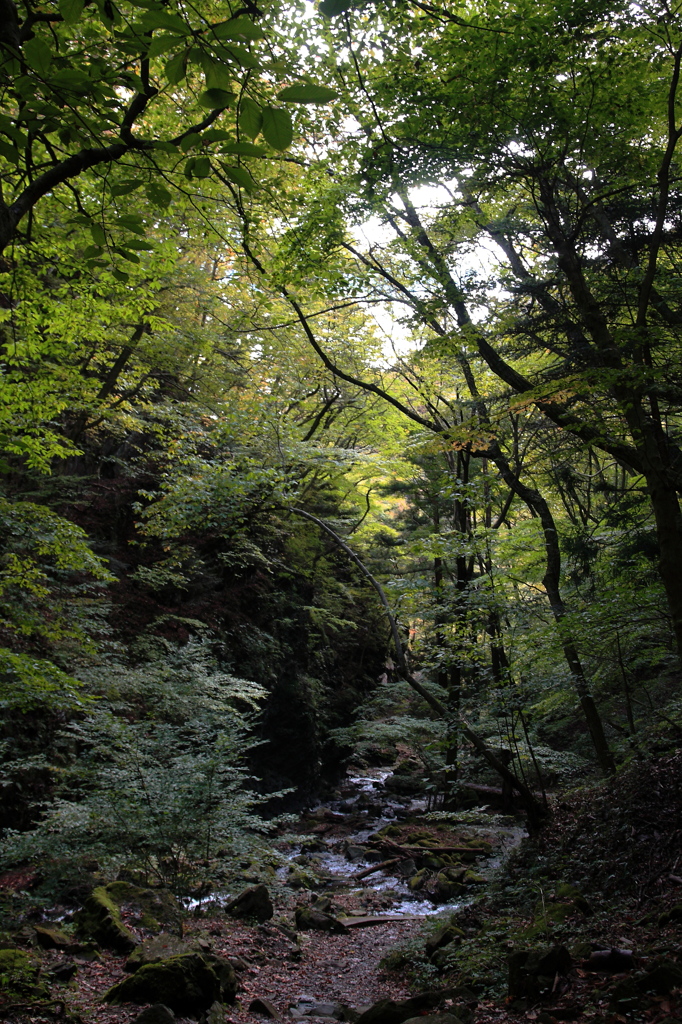 竜化の滝18