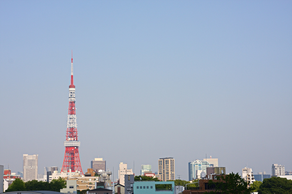 穏やかな日