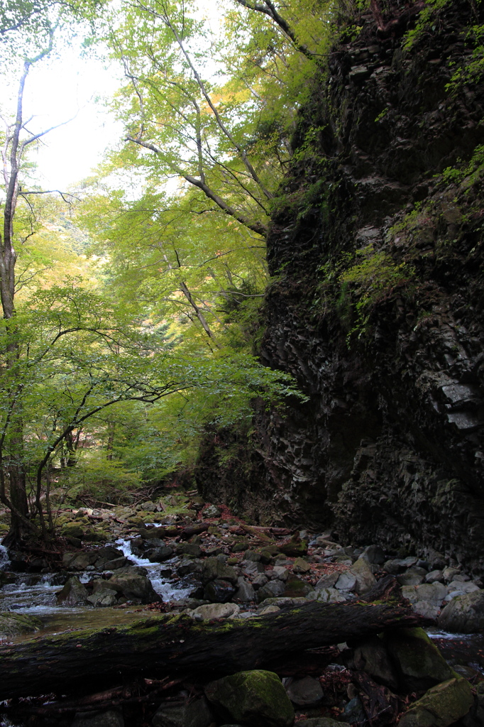 竜化の滝05