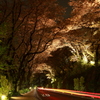 夜桜トンネルを抜け