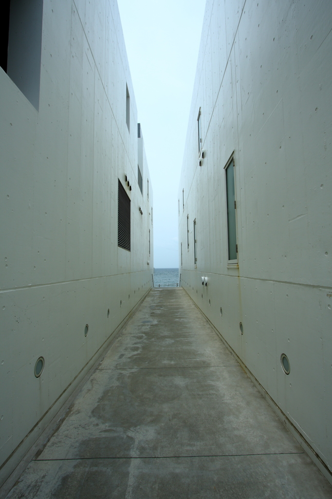 to the sea