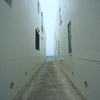 to the sea