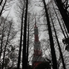 空へ向かって！