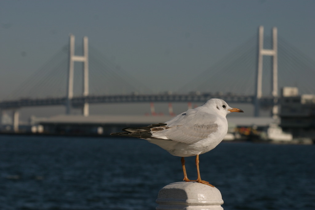 さて・・・何処へ行こうか