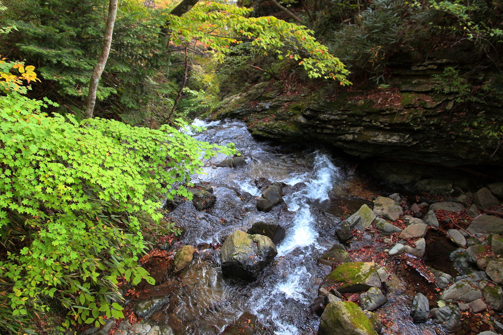 竜化の滝01