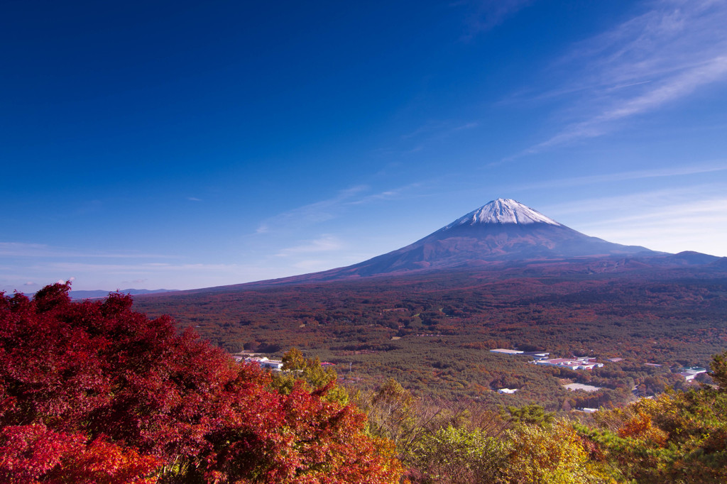 紅葉台より