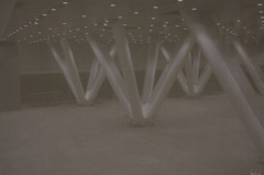 Exhibit  space