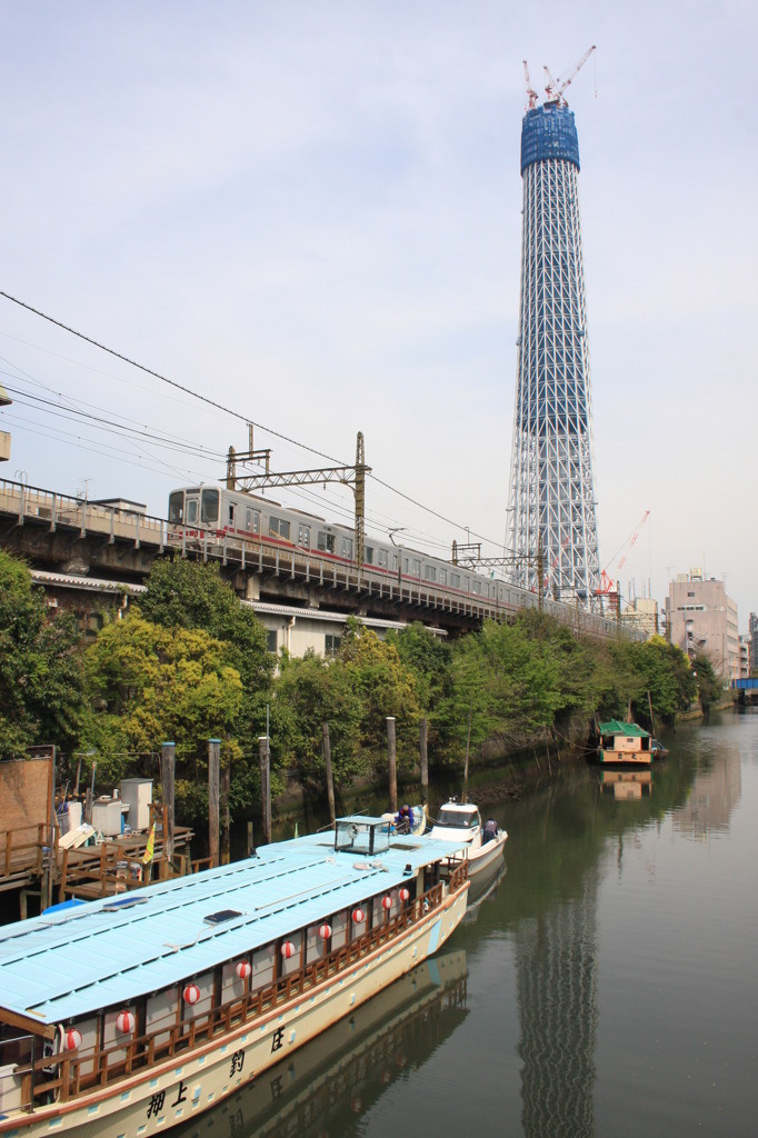 Tokyo SKY TREE 01