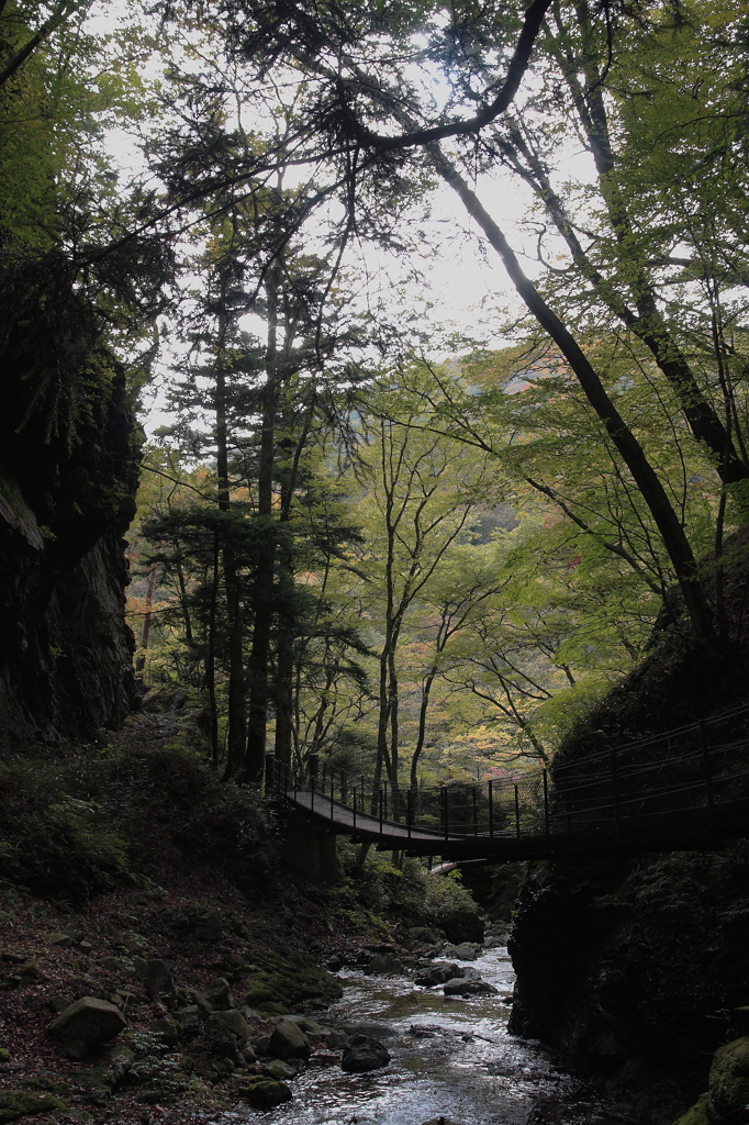 竜化の滝04