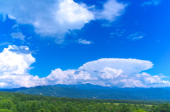 標高1300m