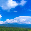 標高1300m