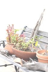 椅子に座るのは・・・・・