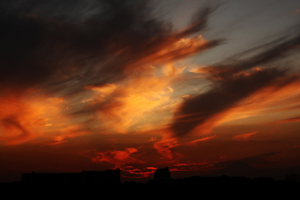 秋の夕暮れと共に