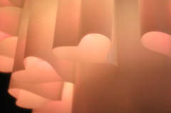 新宿(夜景アート)