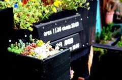 11：30　OPEN