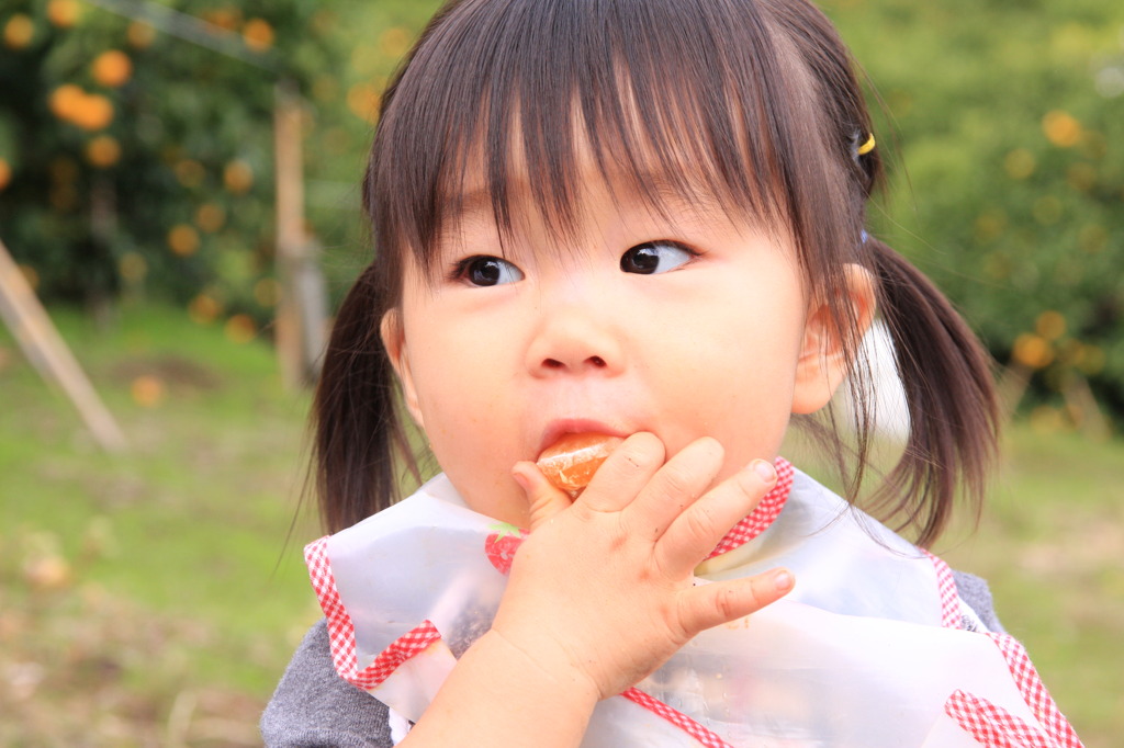 食べ放題！