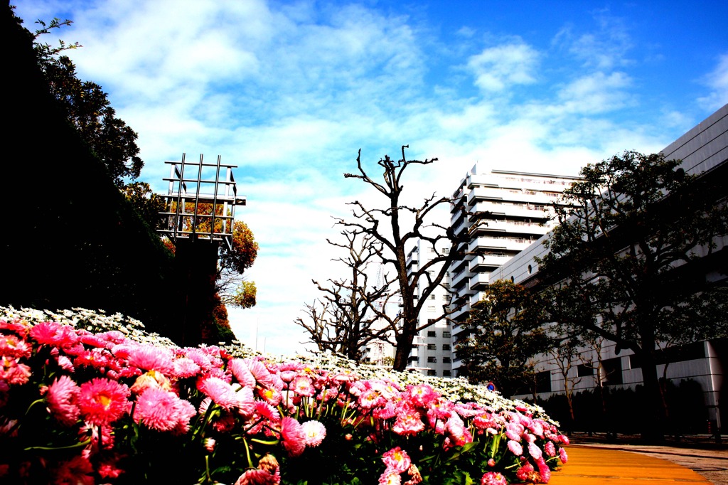 三笠公園１
