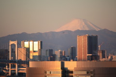 初富士のおすそわけ