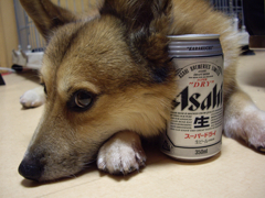 そうやって使うビール