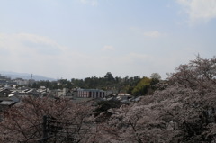 千手院からの松江城