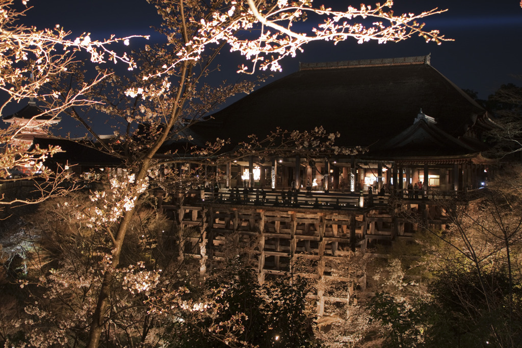 そうだ、京都いこう