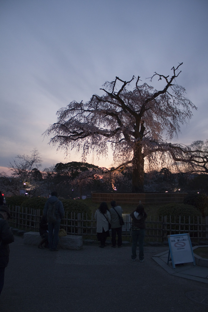 夕焼けに吸い込まれて
