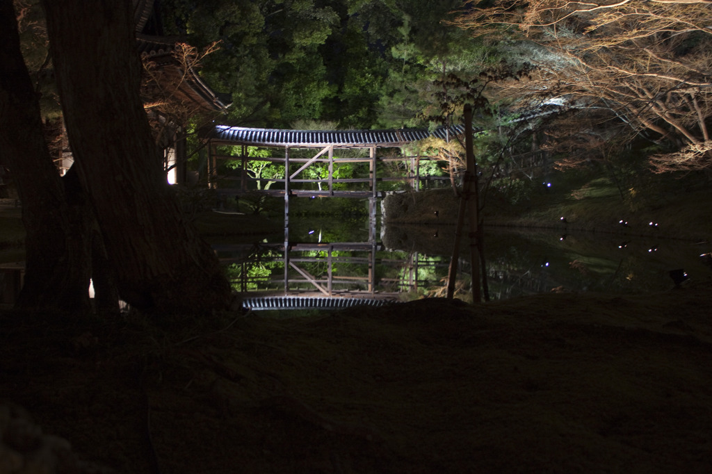 水面鏡