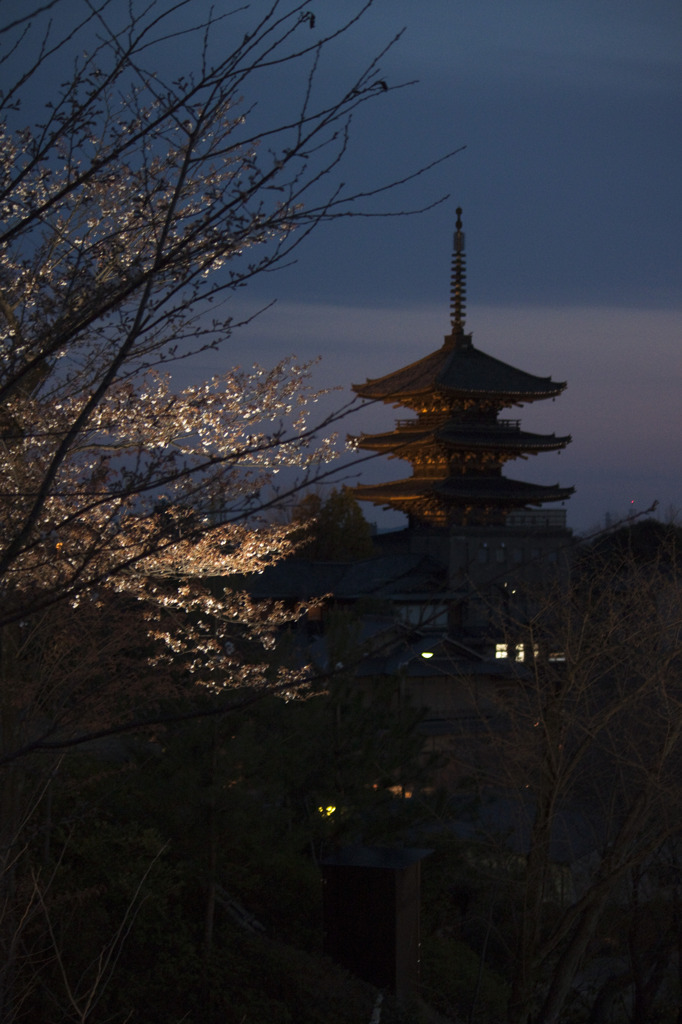 あ、京都だ