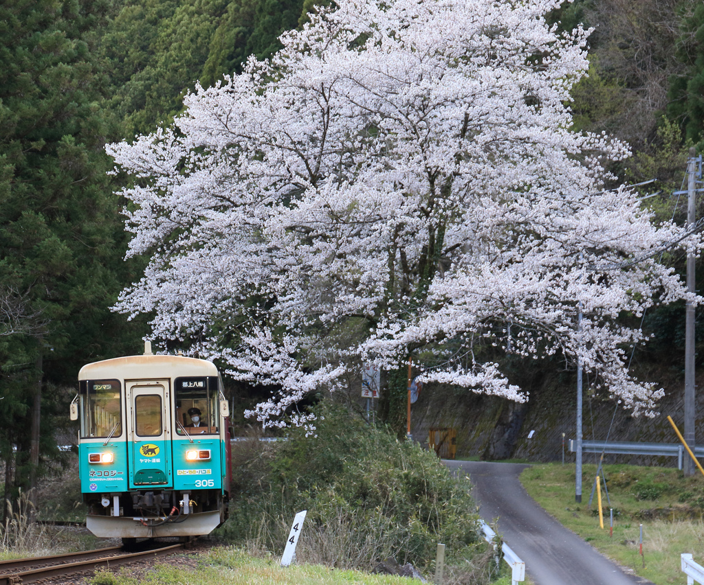 長良川鉄道　