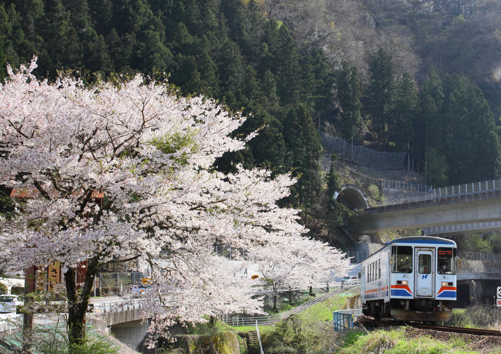 長良川鉄道