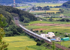 関ヶ原を行く
