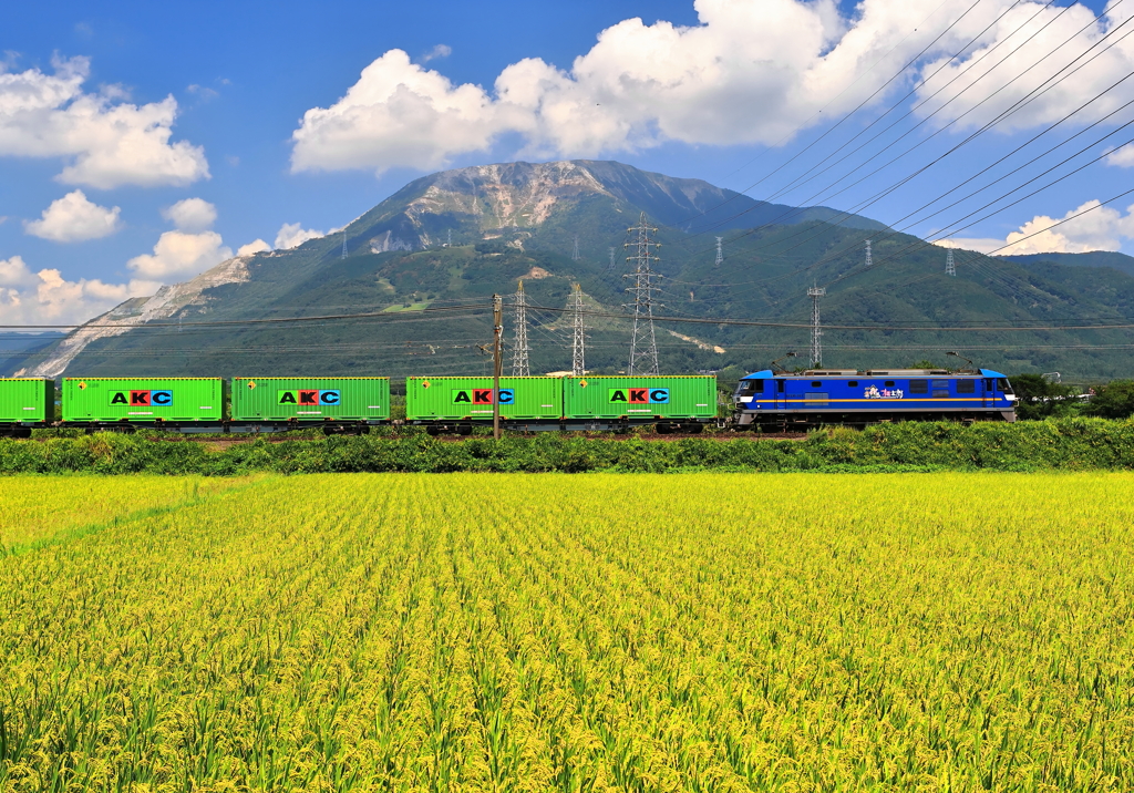 伊吹山と貨物列車
