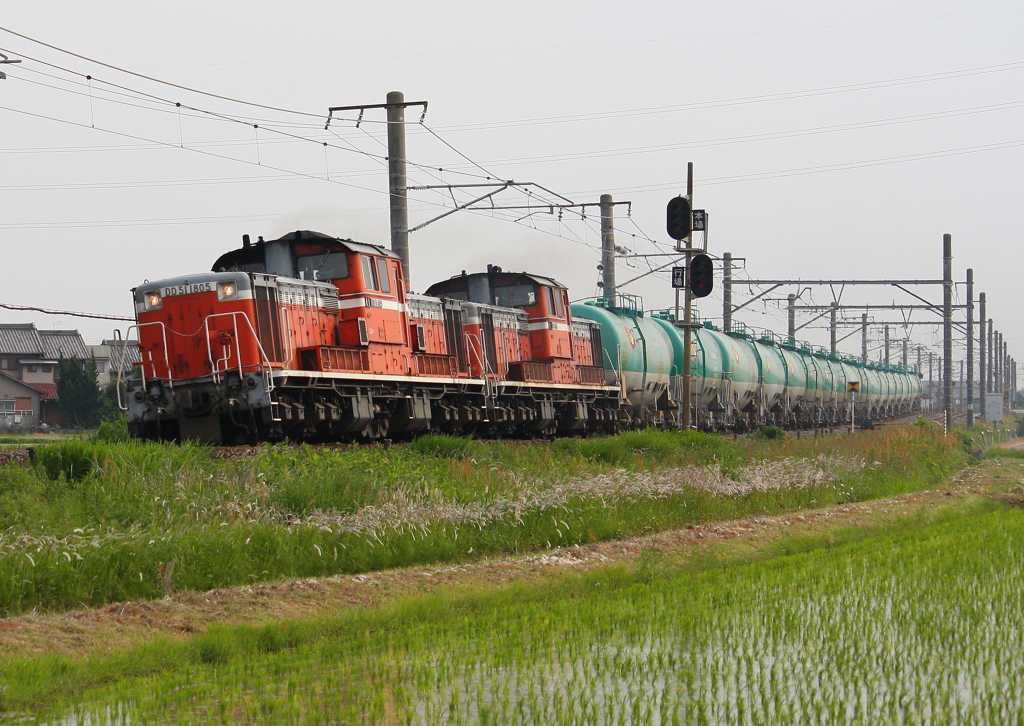 DD51原色重連　　白鳥信号所