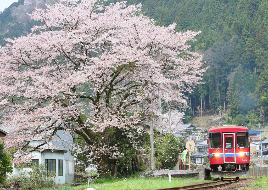 長良川鉄道　深戸駅