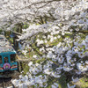 桜駅（日当駅）