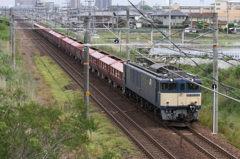 ＥＦ64-1019　赤ホキ