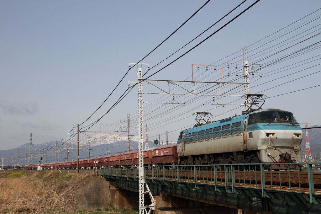 2.28　杭瀬川　赤ホキ