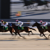 名古屋競馬場