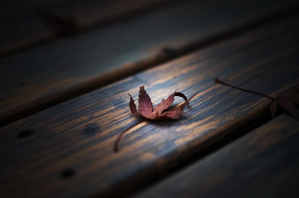 _DSC0043
