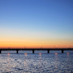 早朝の橋