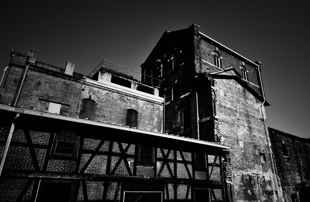 _DSC0135
