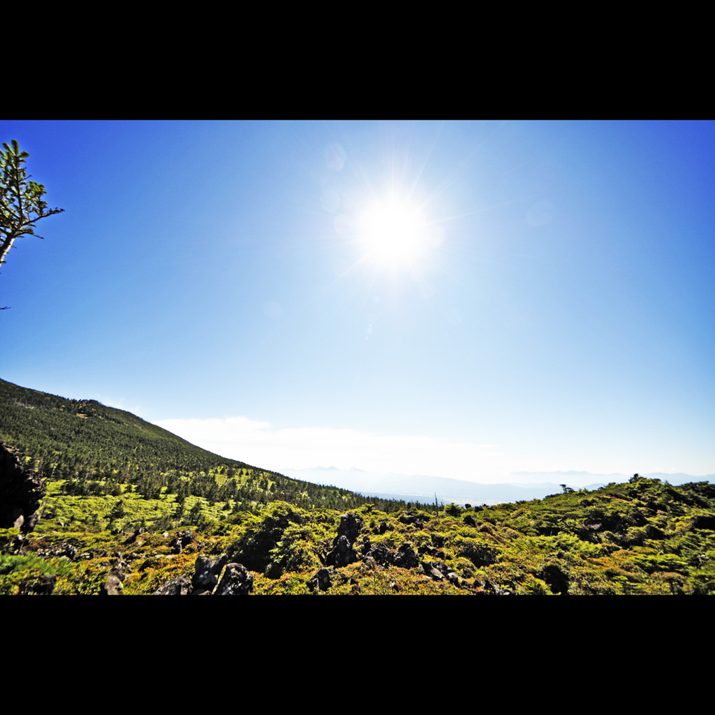_DSC0122