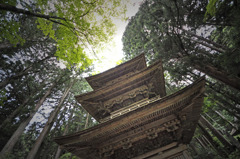 林の中の三重塔