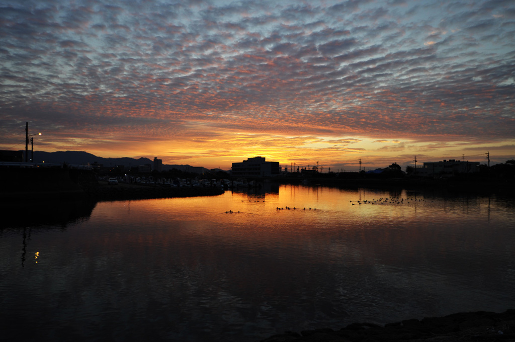 _DSC0011