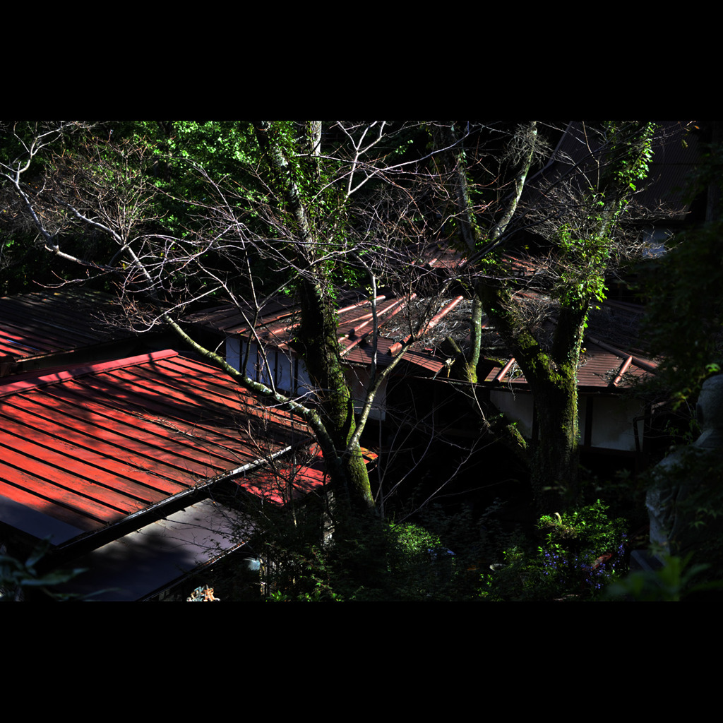 _DSC0009