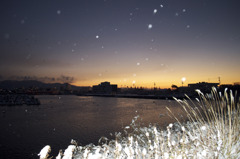 いつもの景色に雪が積もった2