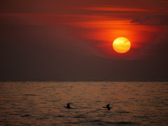 夕日