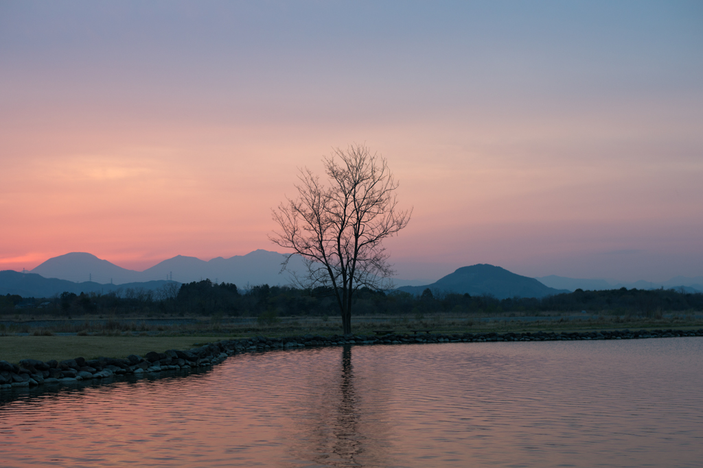 夕日の帰り道